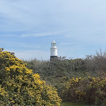 Leuchtturm auf der Insel Alderney