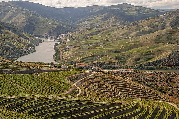 Douro